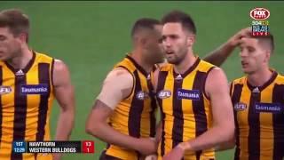 Hawthorn Hawks vs Western Bulldogs (AFL 2016 2nd Semi Final )