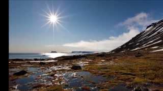 Dudstep - Bobina ft  Susana   Playing with fire