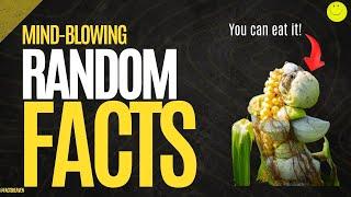 Mind-Blowing Random Facts That Will Melt Your Brain!