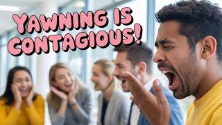 “Why Do We Yawn When Others Do? | The Strange Science Behind Contagious Yawning”
