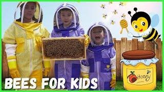 Learn About Bees for Kids | Pollination for Kids | Beekeeping for Kids