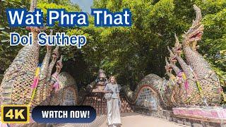 Wat Phra That Doi Suthep: A Must-Visit Temple in Chiang Mai (VLOG Guide)