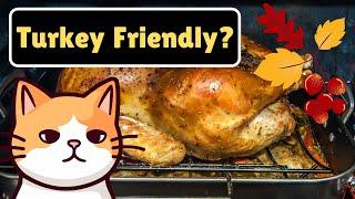 Is Thanksgiving Turkey Safe For Cats?