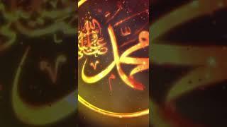 maulana tariq jameel ki bihtrin bayan  #tariqjameel #viralvideo #ramadan #shortsfeed #shorts #tr