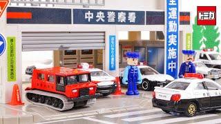 意外に多かった！ 集合！トミカ 北海道警察パトカー 僕の街のパトロールカー ／ Tomica Police car