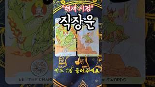 #타로 현재 직장운 #직장운 #타로운세