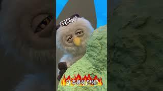 이 집 오동나무 잘하네 #shorts