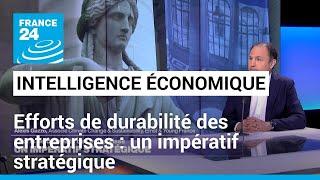 Efforts de durabilité des entreprises : un impératif stratégique • FRANCE 24