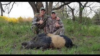 HUGE WILD BOAR IN OKLAHOMA! PLINKSTER OUTDOORS