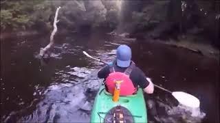 Kayaking The Savage River  90 minutes showed in 150 seconds