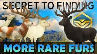 The SECRET to Finding WAY MORE RARES!!! - Call of the Wild