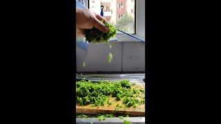 Chopping Video Shorts|| Oddly satisfying video || Simpy Saurabh Vlogs