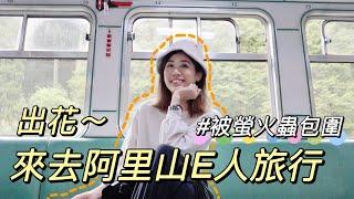 獨旅阿里山EP1｜搭小火車全攻略｜在地人推薦便當店｜滿山滿谷的螢火蟲｜單人旅行Solo travel