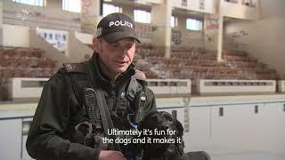 Poolside patrol as police dogs train at old swimming baths