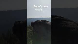 Жаба или Цыпа #trip #прогулка #столбы #shorts #экскурсия_красноярск