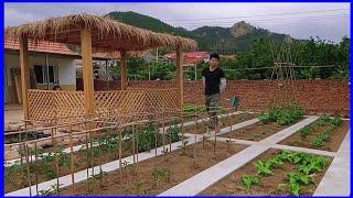 renovate the vegetable garden in the countryside, build a wooden hut and fish tank