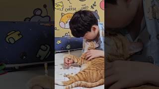 공부하지마!!! 똑똑해지지마!!!! #개냥이 #고양이 #냥춘기