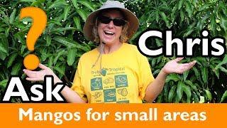 ASK CHRIS- What are the best varieties of mangos to plant in small spaces?