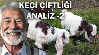 Keçi Yetiştiriciliği VERİMLİLİK