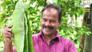തനി നാടൻ ഇല അട ഇനി ഇങ്ങനെ ഒന്നുണ്ടാക്കി നോക്കു  | Ela Ada recipe | Village Spices
