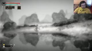 Salt and sanctuary / 1 / Castlevania + Dark souls = 