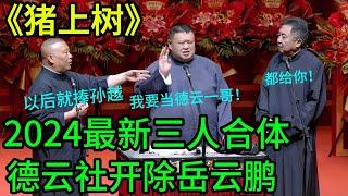 2025开始捧孙越！德云社开除岳云鹏！罕见三人同台！2024纲丝节最新相声！ | #郭德纲 #于谦 #高峰#郭麒麟 #阎鹤祥 #搞笑  #德云社 #优酷 #优酷综艺