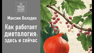 Анатомия, философия и эстетика тыквенного супа