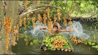 Rich Fruits In River Trail - bamboo rafting ride find fruits