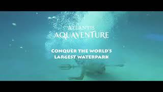 The World’s Largest Waterpark │Atlantis Aquaventure