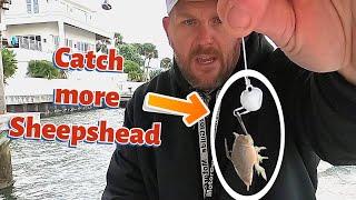 Best Sheepshead Jig? Ghost Crab Sheepshead Jig, lets see!!