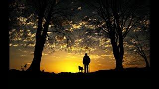 Do Our Departed Pets Go To Heaven? Yes They Do. Bible Study