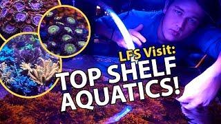 PRO TIPS: Zoa growth & Acro selection {Top Shelf Aquatics}