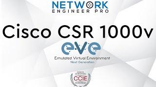 How To Add a Cisco CSR1000v From CML To EVE-NG