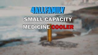 4Allfamily Nomad Medicine Insulin Cooler For 2-3 Insulin Pens