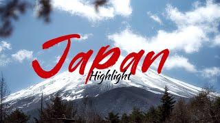 #Japan tour in #CherryBlossom  | Japan tour information | Flamingo Travels