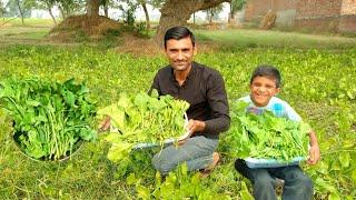 Fresh Palak Aur Fresh Sarson Ka Saag Alhamdulillah/Muqdam Saleem