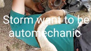 Our goose storm want to be automechanic. "Steve and Rose Adventures" (raw video)