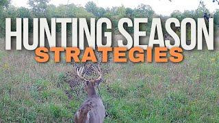 Deer Hunting Strategies For 2024