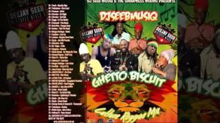 DJ Seeb - Ghetto Biscuit (Reggae Mixtape 2016 Long Preview)