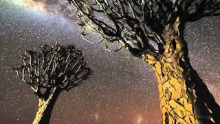 THE END OF NIGHT by Paul Bogard
