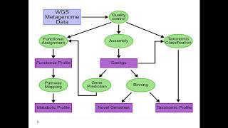 Introduction to metagenomics Talk 1