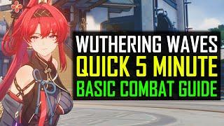 Wuthering Waves Beginner Guide Combat and Terminology