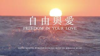 自由與愛 Freedom In Your Love｜鋼琴輕音樂 等候神音樂 Soaking worship Music ｜ 放鬆音樂｜睡覺音樂｜instrumental #BGM  #relaxing