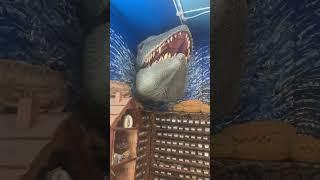 Jurassic Jim’s Shop We Come Every Year e mail @jurassicjim.com Isle Of White Shanklin