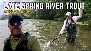 Chasing Trout in Late Spring on the Yough River