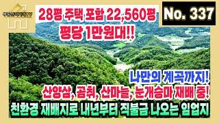 28평 주택 포함 22,560평이 평당 1만원대! 나만의 계곡까지! 산양삼, 곰취, 산마늘, 눈개승마를 재배 중인 친환경 재배지로 내년부터 직불금 나오는 임업지 [부동산직거래TV]