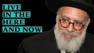 Living in The Here And Now | Parashat Noach