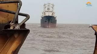 MV CHINA FROST (REEFER) Ship Beaching| Alang Ship Breaking Yard