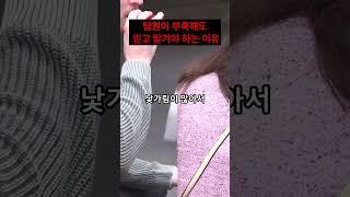 실수해도 기회를 주는 리더가 성공한다　#리더십 #조직성장 #경험기회 #팀빌딩전략 #사업의정석