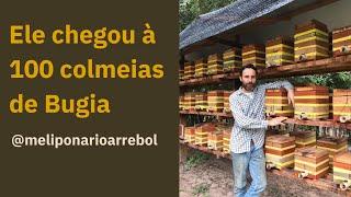 He has 100 Bugia hives - Arrebol Meliponário